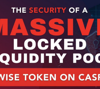 Wise Token on Casper