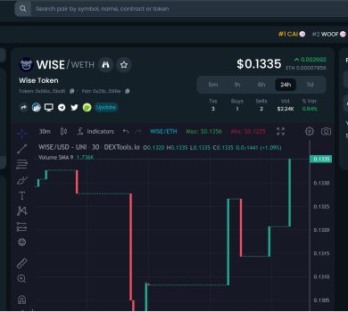 WISE TOKEN on Dextools.io