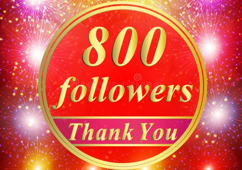 800 Followers on Twitter